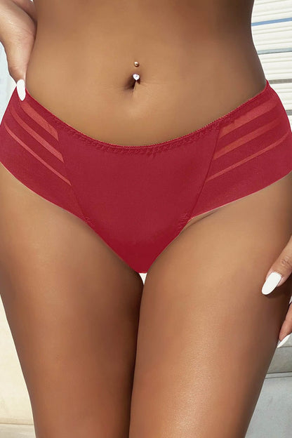 Stripe Mesh Bikini Panty - A-1 Thread Vault