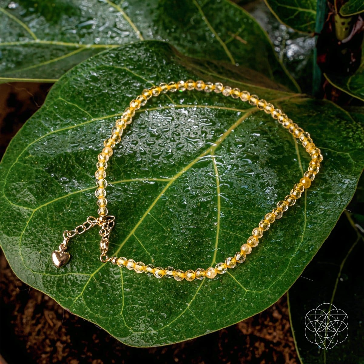 The Abundance Anklet - A-1 Thread Vault