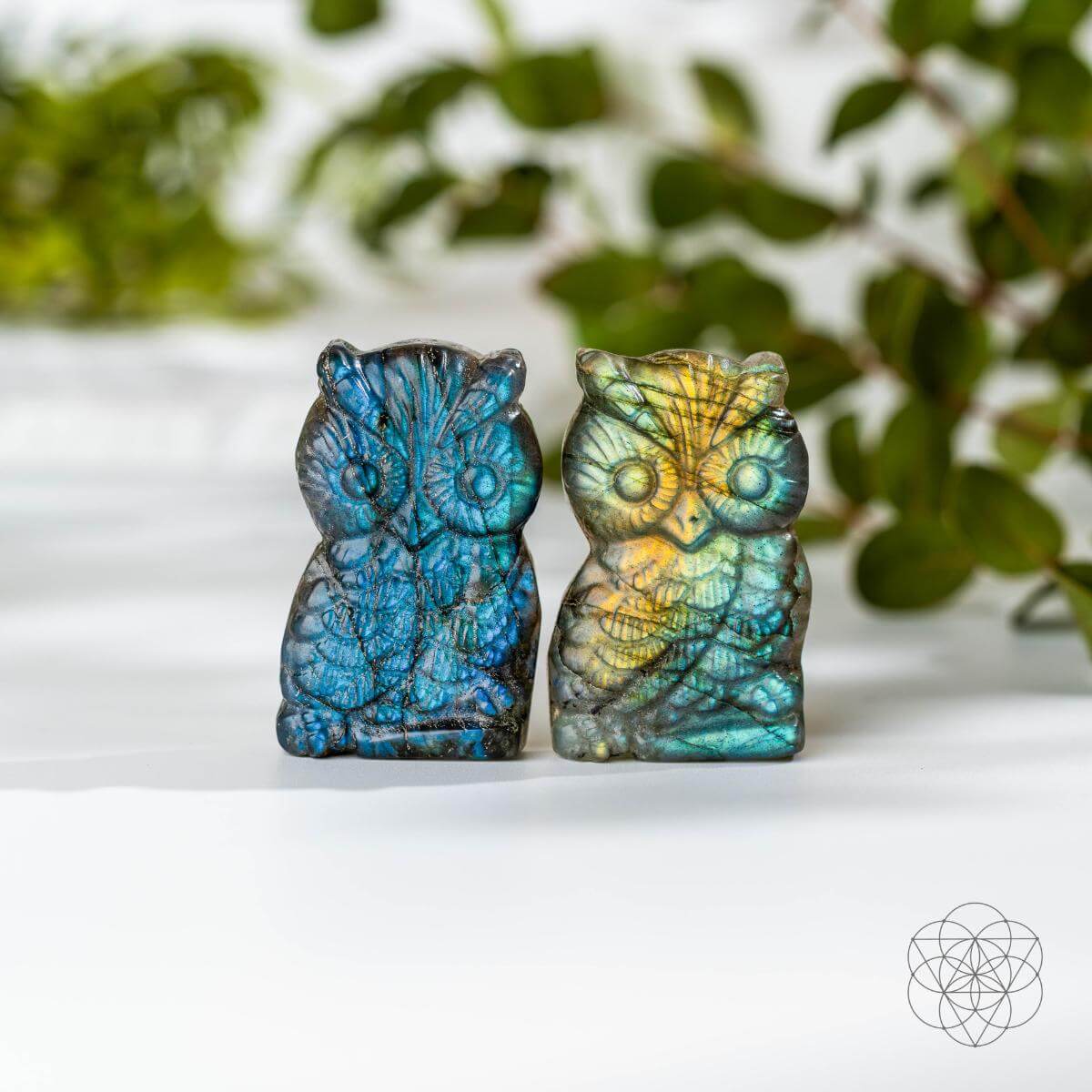 Token of Wisdom - Labradorite Owl Talisman - A-1 Thread Vault