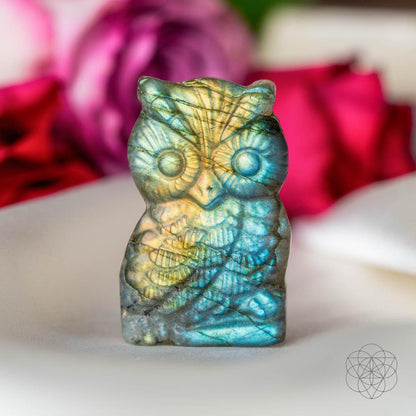 Token of Wisdom - Labradorite Owl Talisman - A-1 Thread Vault