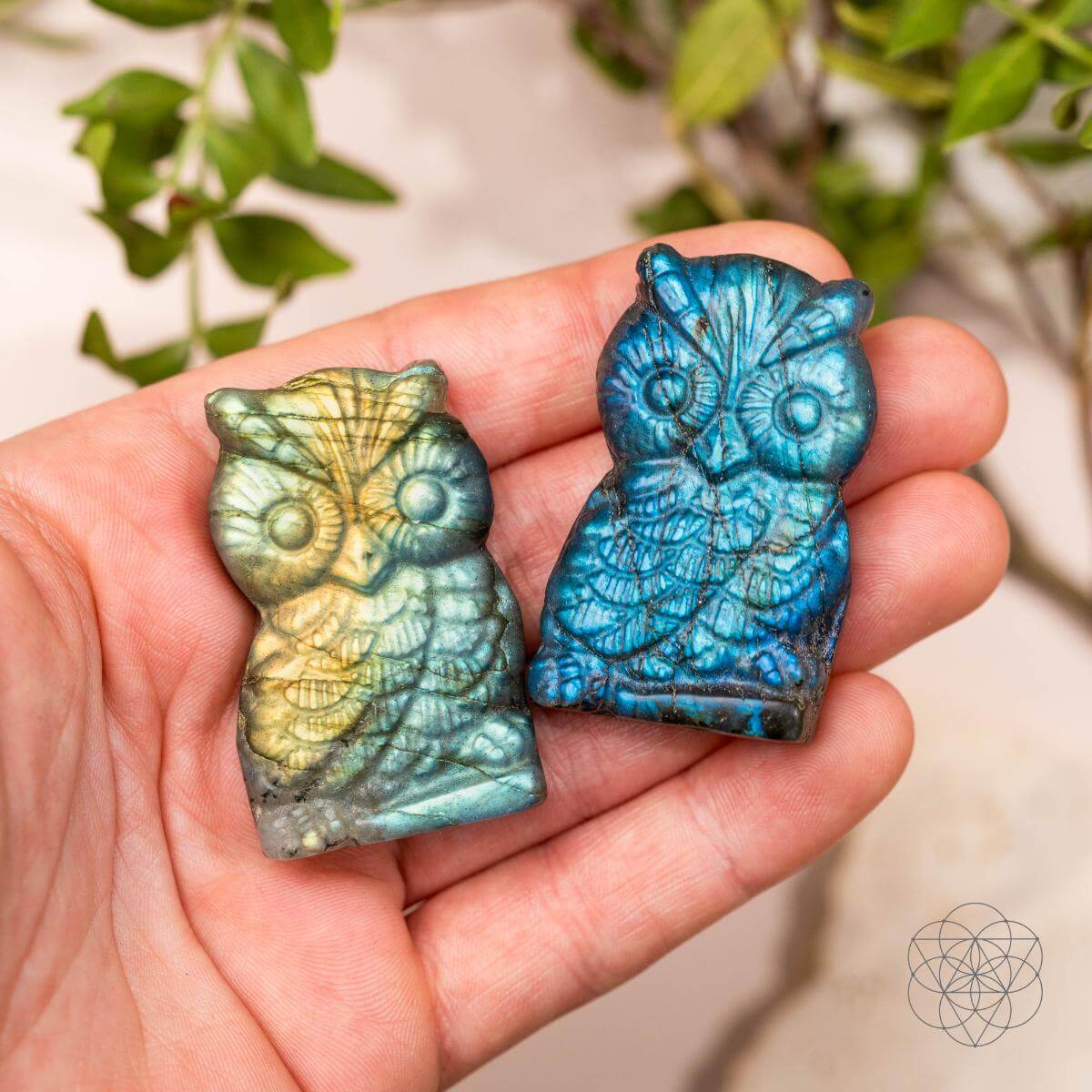 Token of Wisdom - Labradorite Owl Talisman - A-1 Thread Vault