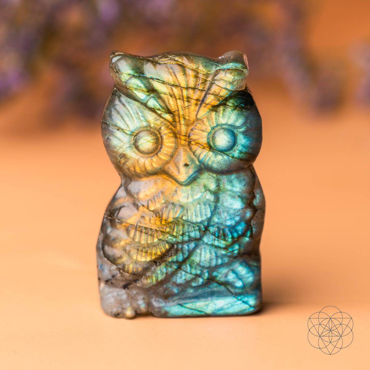 Token of Wisdom - Labradorite Owl Talisman - A-1 Thread Vault