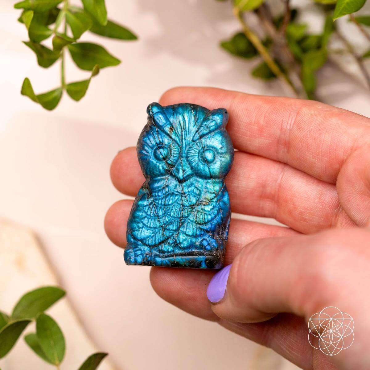 Token of Wisdom - Labradorite Owl Talisman - A-1 Thread Vault