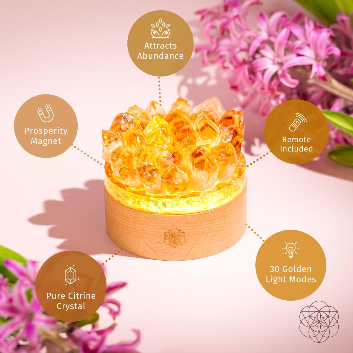 Turn My Life to Gold - Midas Citrine Lamp - A-1 Thread Vault