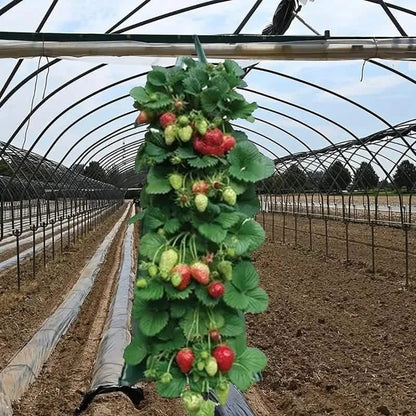 Upside Down Tomato Grow Bag - A-1 Thread Vault