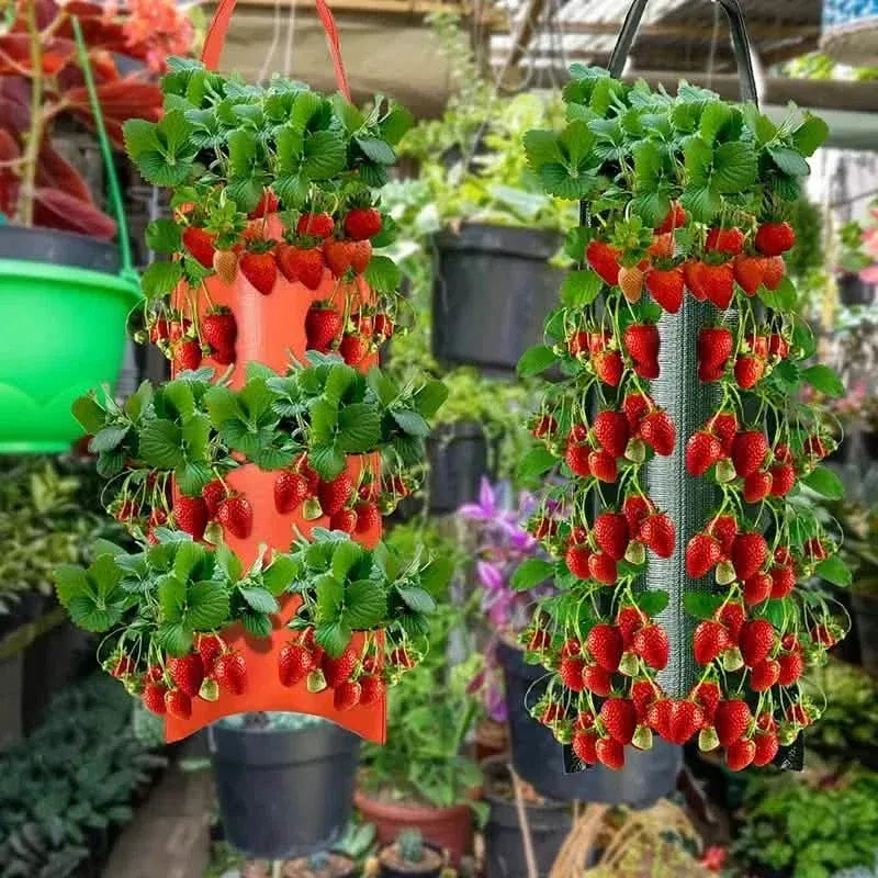 Upside Down Tomato Grow Bag - A-1 Thread Vault