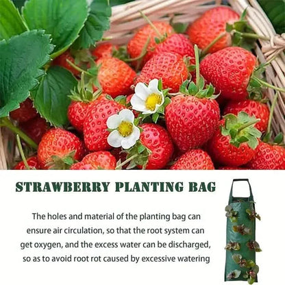 Upside Down Tomato Grow Bag - A-1 Thread Vault