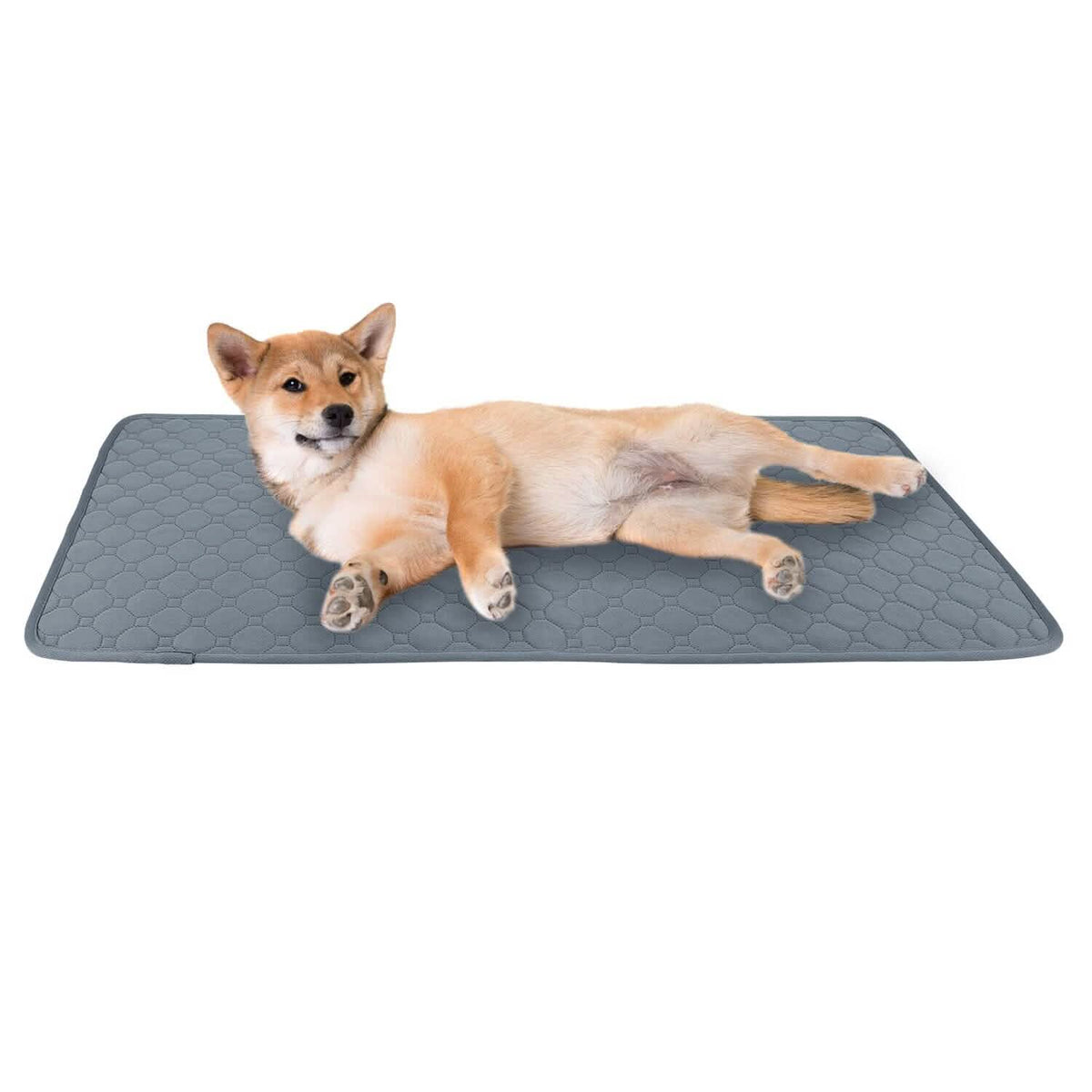 Washable Dog Pee Pad Reusable Puppy Potty Training Pads - A-1 Thread Vault