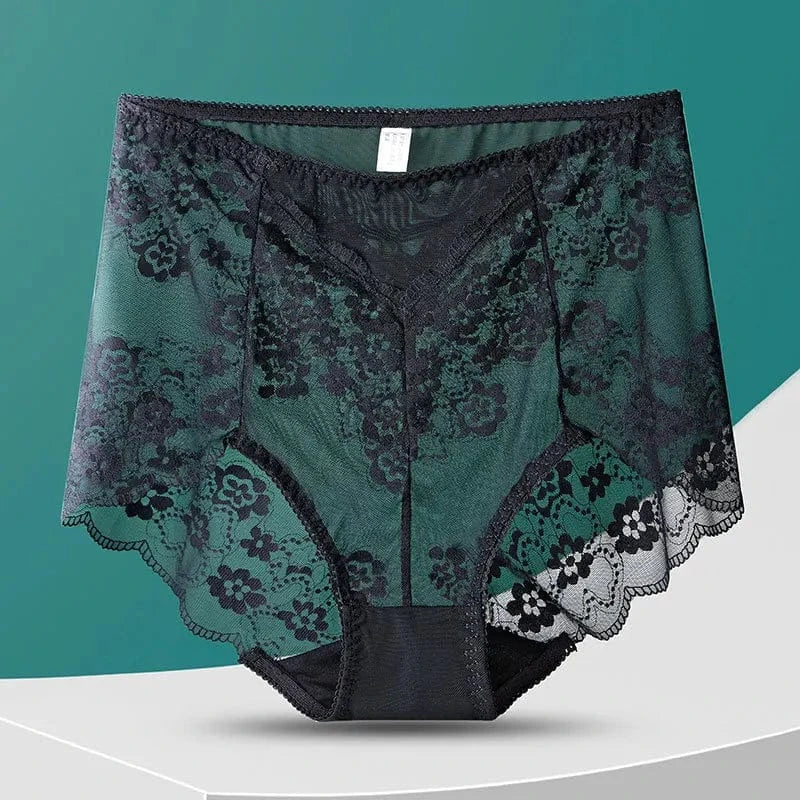 Women High Waist Plus Size Panties Sexy Lace Mesh Floral Transparent Briefs Fashion Underpants Lingerie Seamless Underwear - A-1 Thread Vault