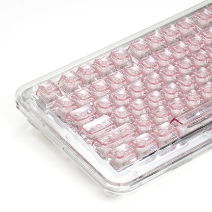XVX Arctic Transparent SA Profile Double-Shot PC Keycap Set - A-1 Thread Vault