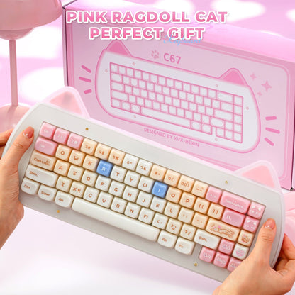 XVX C67 AcriCat Themed Wireless Acrylic Mechanical Keyboard - A-1 Thread Vault