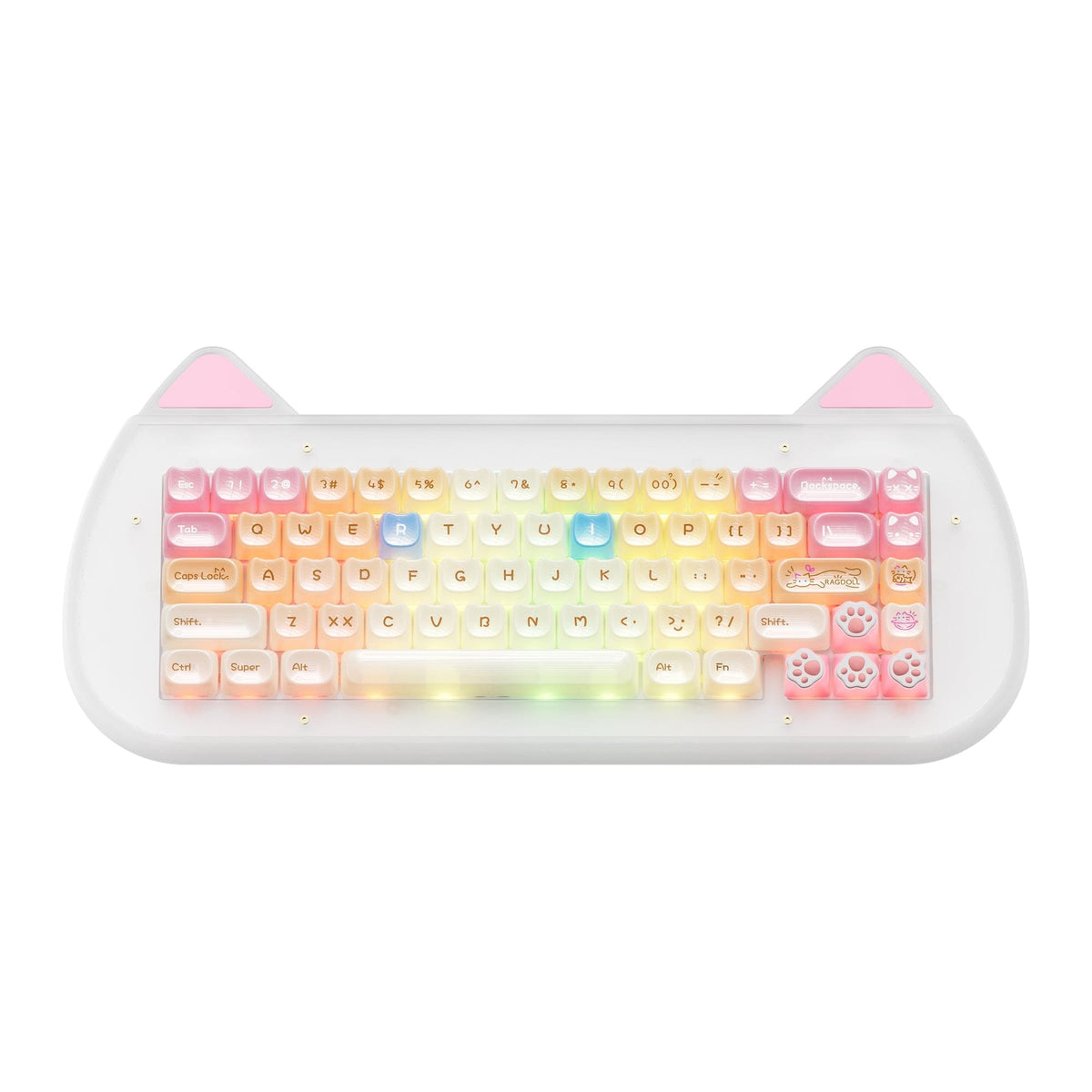 XVX C67 AcriCat Themed Wireless Acrylic Mechanical Keyboard - A-1 Thread Vault