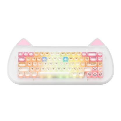 XVX C67 AcriCat Themed Wireless Acrylic Mechanical Keyboard - A-1 Thread Vault