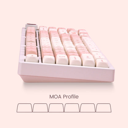 XVX Sakura 143-Key MOA Profile Dye-Sub PBT Keycap Set - A-1 Thread Vault